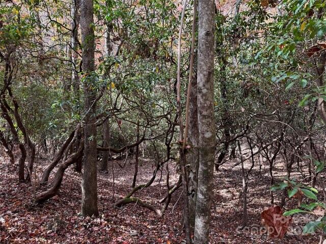 U02L340 Salola Ln Unit 340/02, Brevard, NC 28712 - photo 10