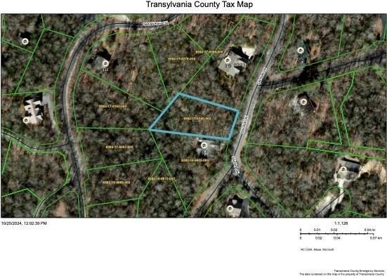 U02L340 Salola Ln Unit 340/02, Brevard, NC 28712 - photo 11