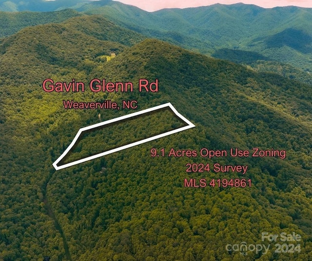 125 Gavin Glenn Rd, Weaverville NC, 28787 land for sale