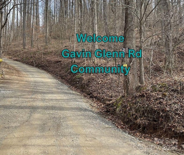 Listing photo 3 for 125 Gavin Glenn Rd, Weaverville NC 28787