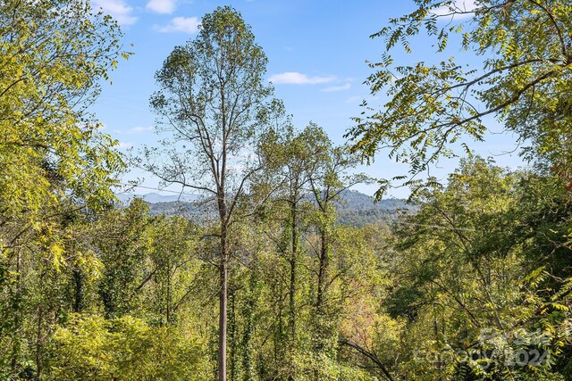 3942 Anderson Branch Rd, Marshall, NC 28753 - view of mountain background with a heavily wooded area