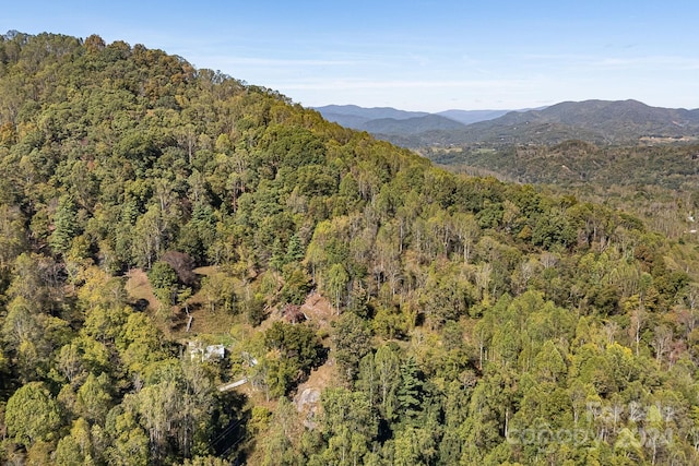 3942 Anderson Branch Rd, Marshall, NC 28753 - view of mountain background featuring a forest