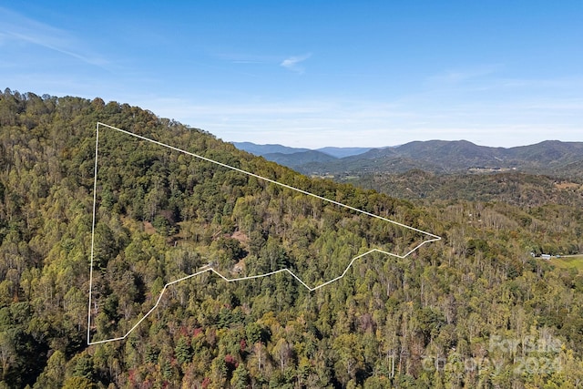 3942 Anderson Branch Rd, Marshall, NC 28753 - aerial overview of property's location with a forest, property boundaries highlighted, and a mountainous background