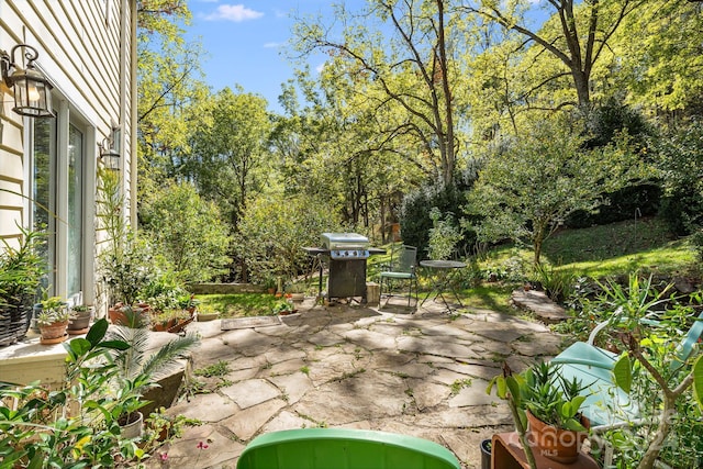 3942 Anderson Branch Rd, Marshall, NC 28753 - view of patio with a grill