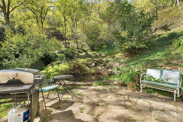 3942 Anderson Branch Rd, Marshall, NC 28753 - view of patio / terrace with area for grilling