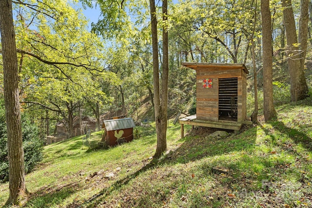 3942 Anderson Branch Rd, Marshall, NC 28753 - view of yard