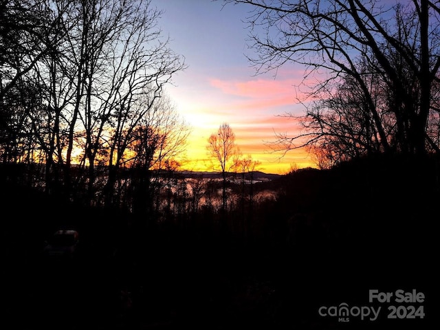 3942 Anderson Branch Rd, Marshall, NC 28753 - view of nature at dusk