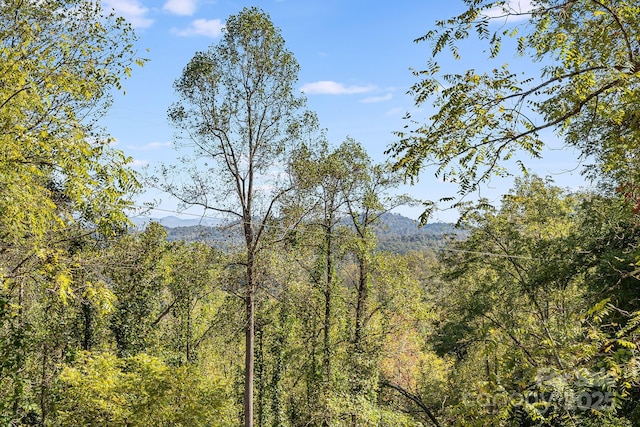 3942 Anderson Branch Rd, Marshall, NC 28753 - photo 42