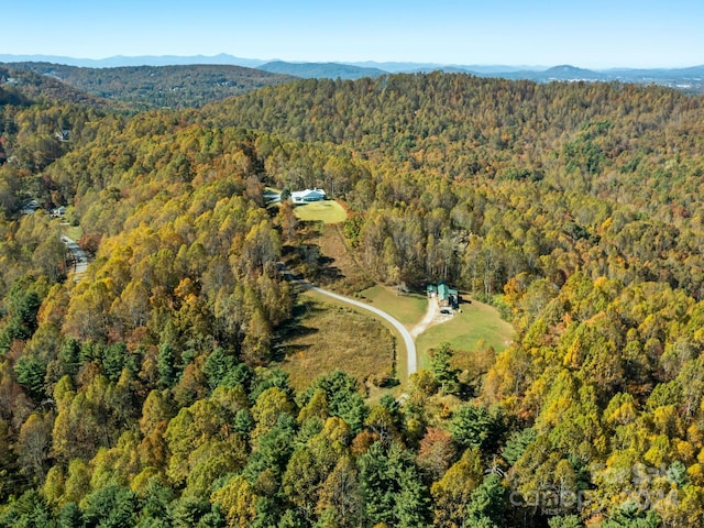 Listing photo 3 for 5481 Greenville Hwy, Zirconia NC 28790