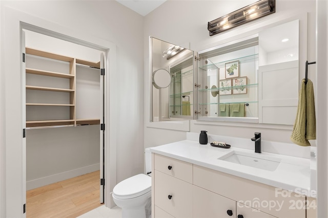 bathroom featuring vanity, toilet, and wood-type flooring