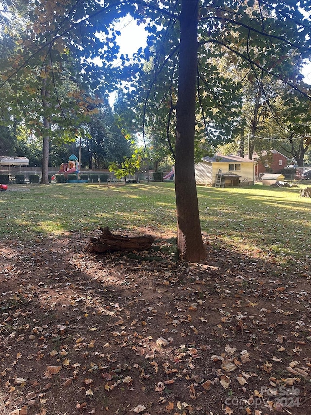 3238 Campbell Dr, Charlotte, NC 28205 - view of yard