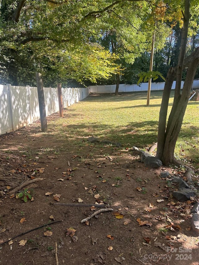 3238 Campbell Dr, Charlotte, NC 28205 - view of yard
