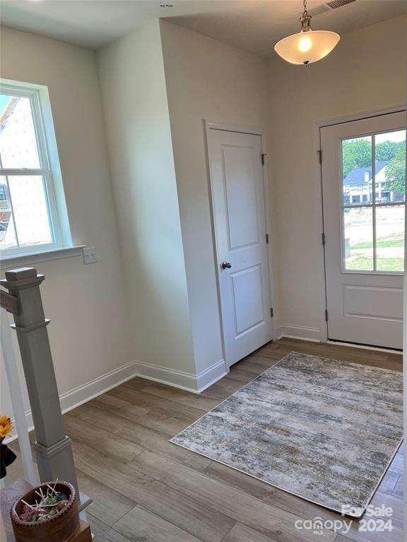 foyer with a wealth of natural light and light wood-type flooring