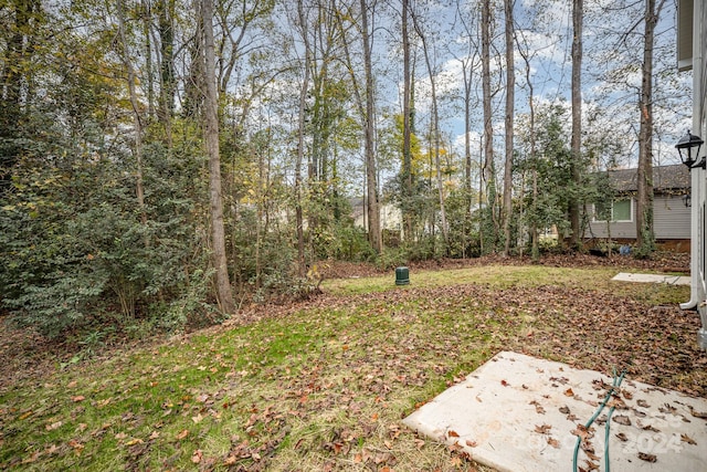 view of yard with a patio