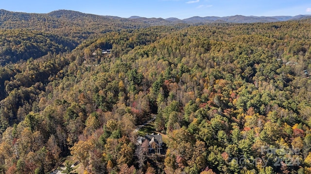 drone / aerial view with a mountain view