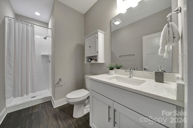 bathroom with vanity, toilet, and curtained shower