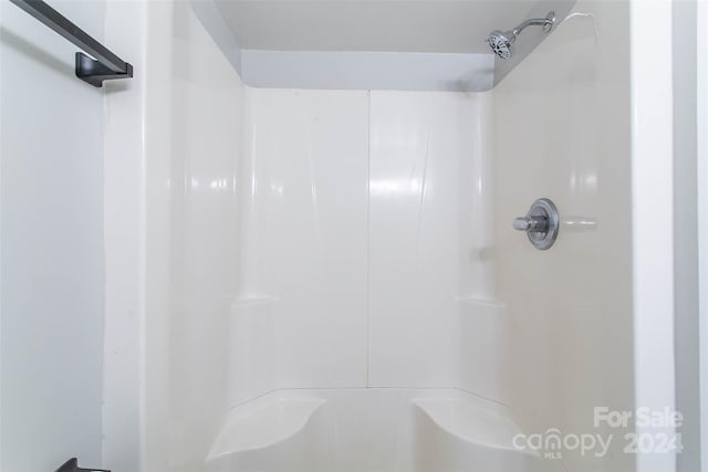 interior details with walk in shower