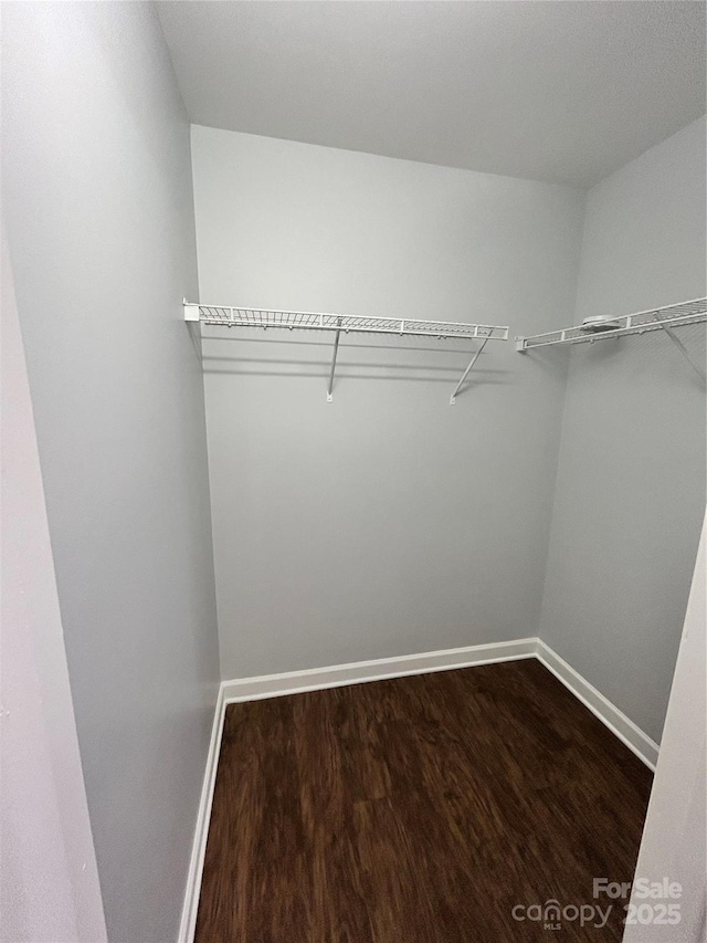 spacious closet featuring hardwood / wood-style flooring