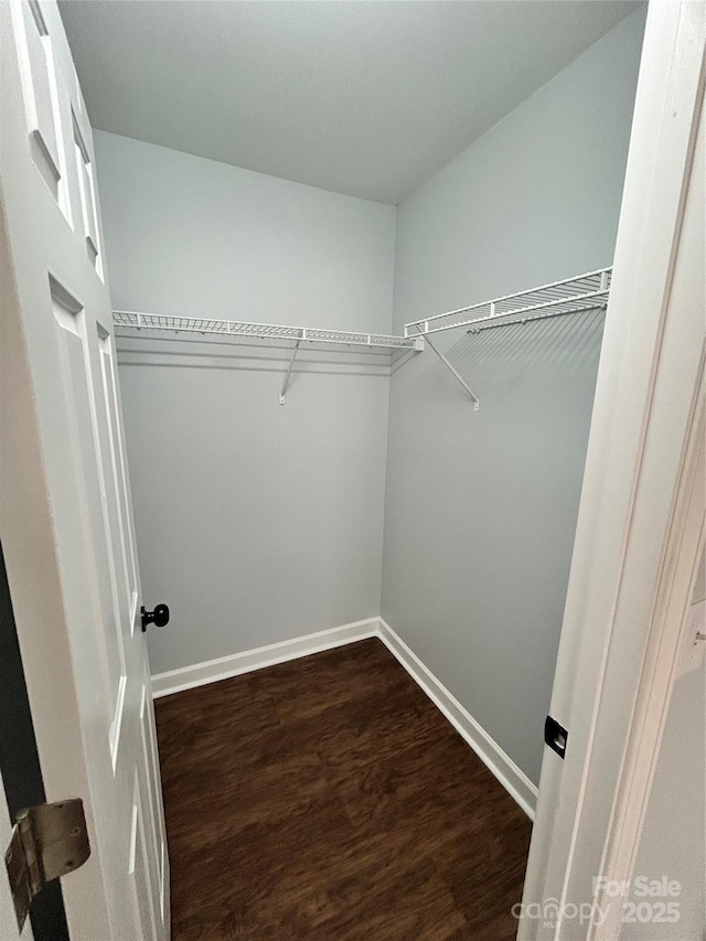 walk in closet featuring dark hardwood / wood-style flooring