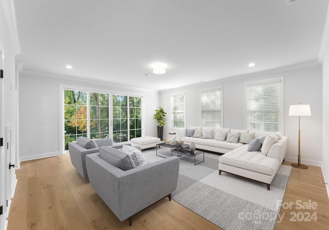 living room featuring a healthy amount of sunlight and light hardwood / wood-style floors