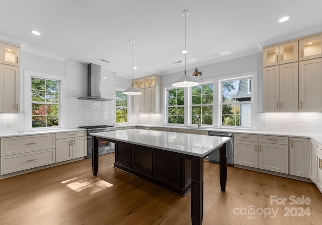 kitchen with wall chimney range hood, hanging light fixtures, appliances with stainless steel finishes, and a wealth of natural light