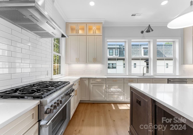 kitchen featuring wall chimney exhaust hood, decorative backsplash, stainless steel appliances, and plenty of natural light