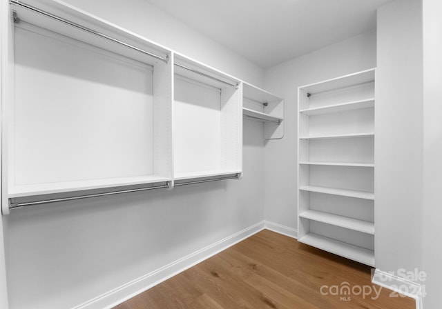 walk in closet with dark hardwood / wood-style floors