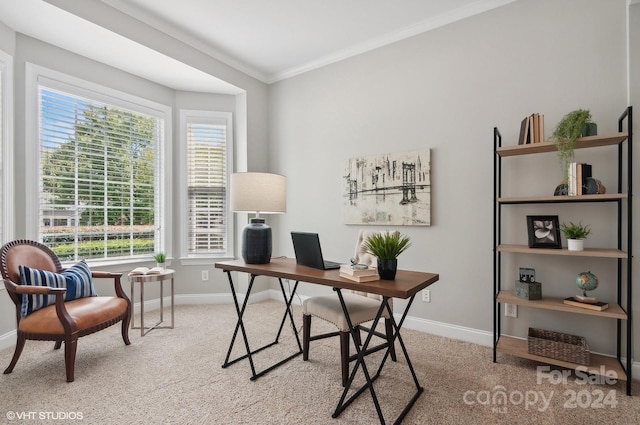 office space with ornamental molding, a wealth of natural light, and carpet floors