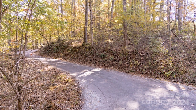 Listing photo 3 for 00 N Pinnacle Dr Unit 3, Weaverville NC 28787