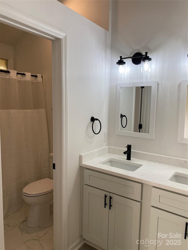 bathroom with toilet and vanity