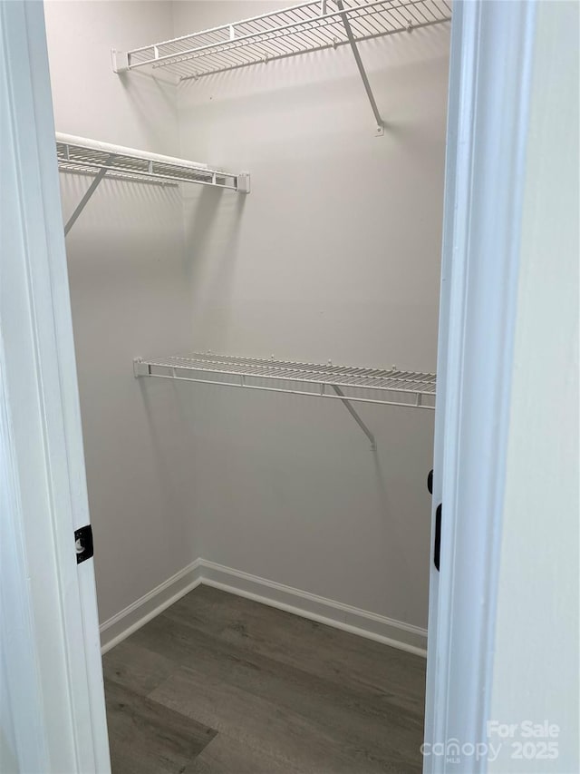 walk in closet featuring dark wood-type flooring