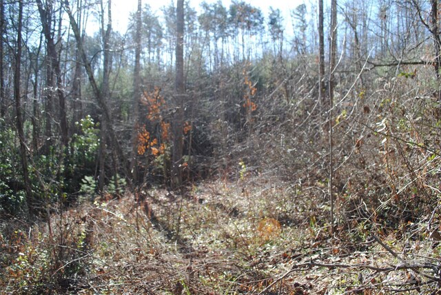 36 Robert Williams Rd, Fairview, NC 28730 - photo 20