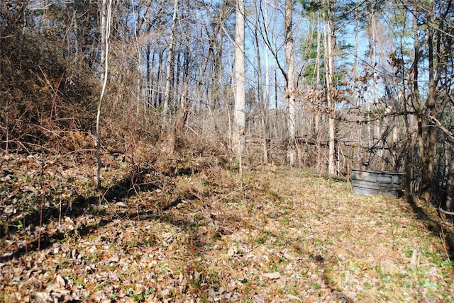36 Robert Williams Rd, Fairview, NC 28730 - photo 24