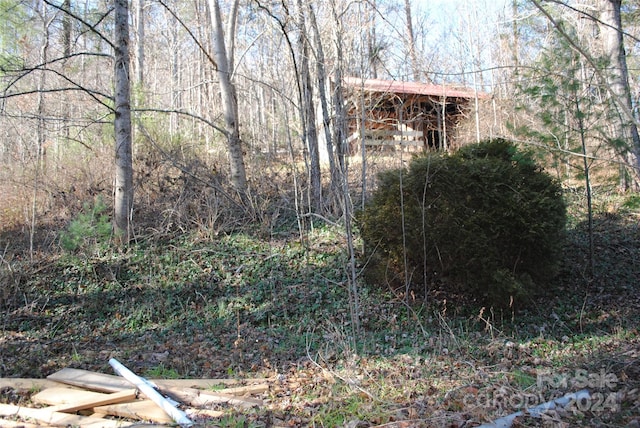 view of yard with a storage shed