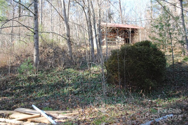 36 Robert Williams Rd, Fairview, NC 28730 - photo 26