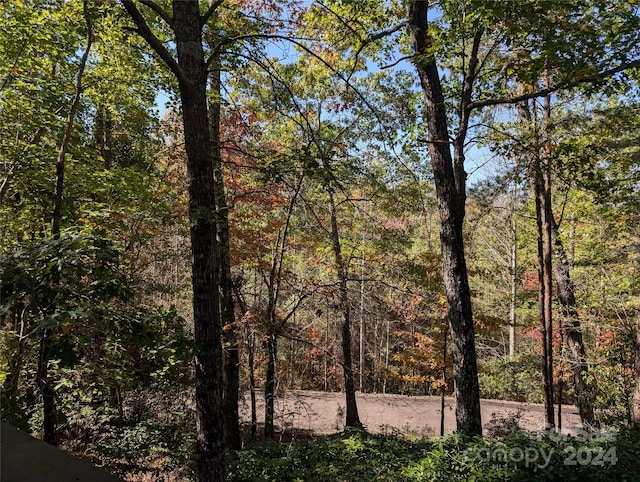 view of local wilderness