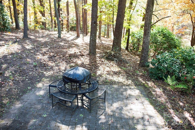 view of yard featuring a patio