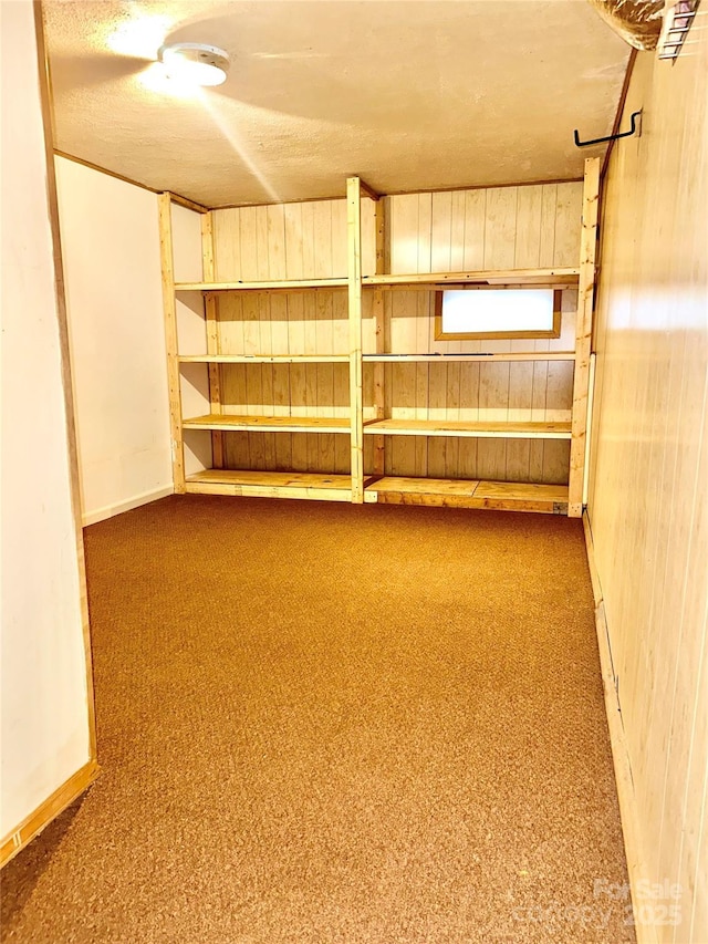 basement featuring carpet flooring and wood walls