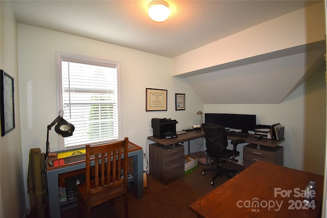 office featuring lofted ceiling