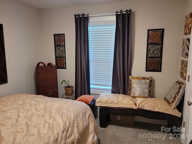 bedroom with carpet floors