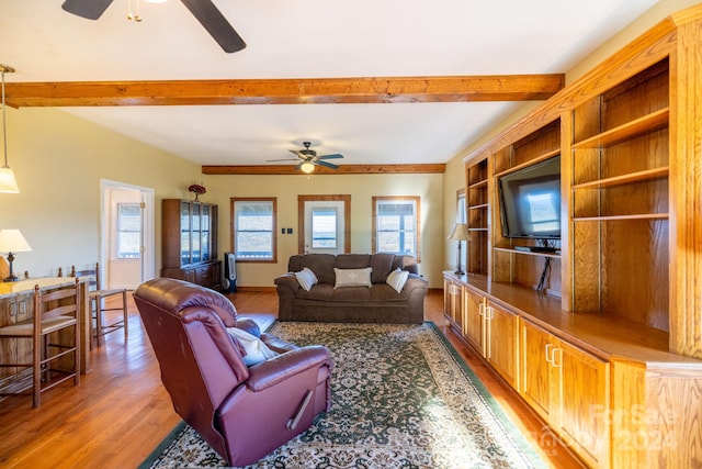 living room with hardwood / wood-style floors, beamed ceiling, and ceiling fan