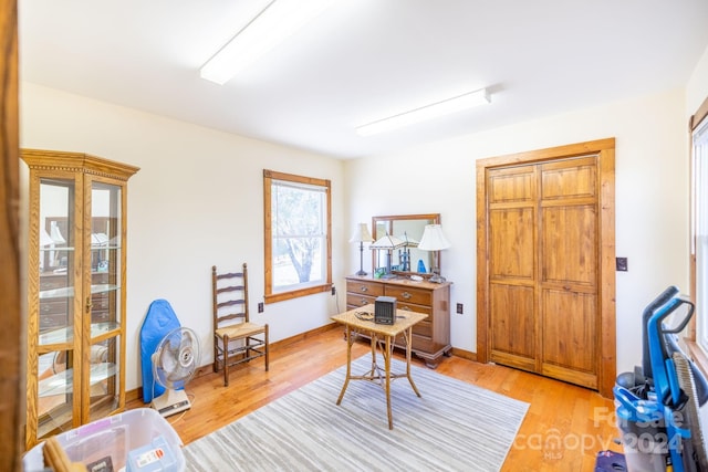 home office featuring light hardwood / wood-style flooring