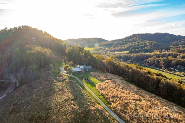 drone / aerial view featuring a mountain view