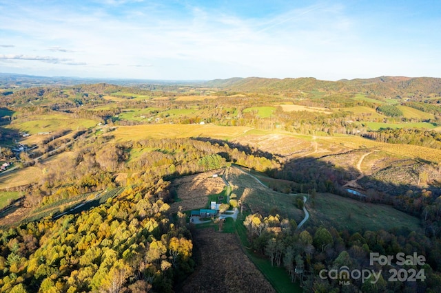 bird's eye view featuring a mountain view