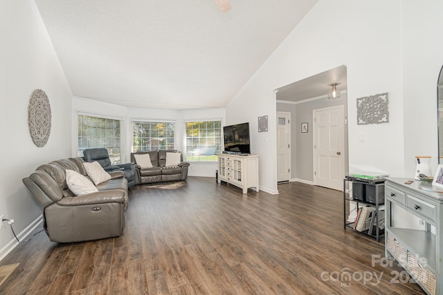 living room featuring ornamental molding, dark hardwood / wood-style floors, and high vaulted ceiling