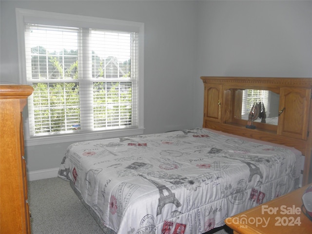 bedroom featuring carpet