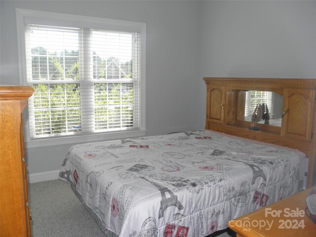 204 Par Dr, Henderson, NC 27536 - bedroom featuring baseboards, multiple windows, and carpet