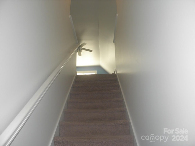 stairs with hardwood / wood-style floors