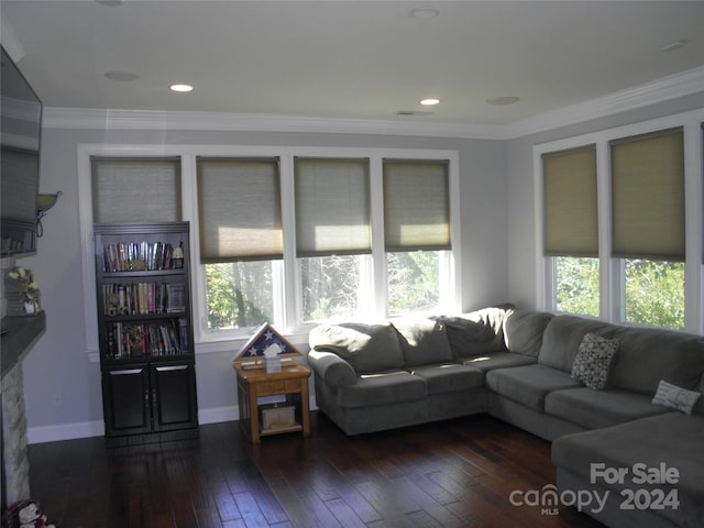 living room featuring dark hardwood / wood-style floors and crown molding