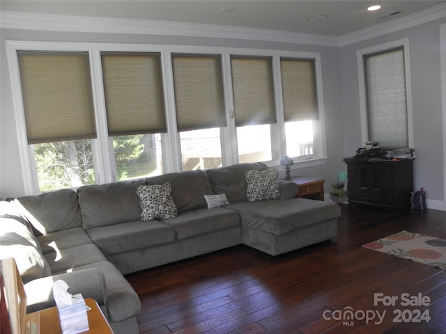 living room featuring dark hardwood / wood-style flooring, ornamental molding, and a healthy amount of sunlight